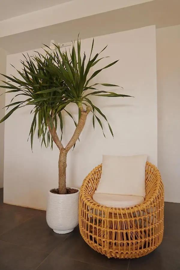Molly Resort Bohol Taporok